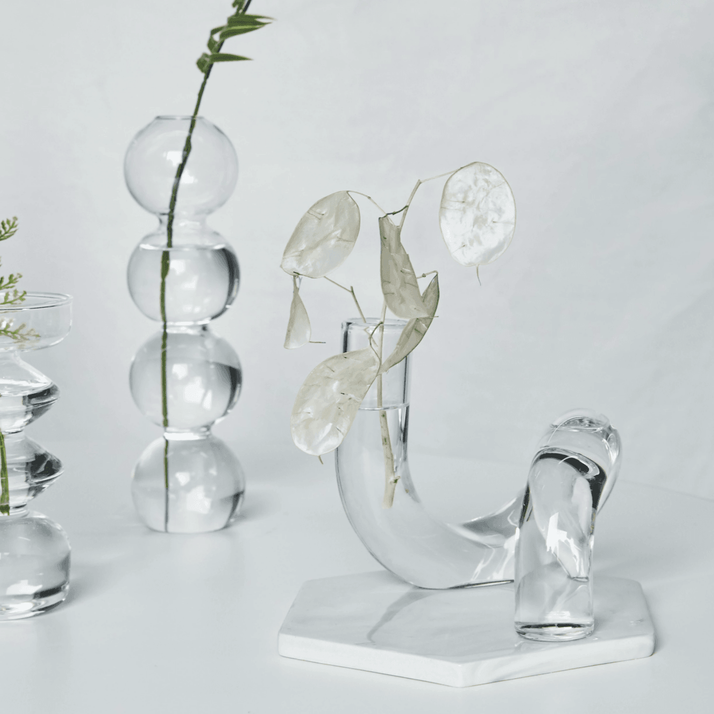 In the Loop Hydroponic Vase